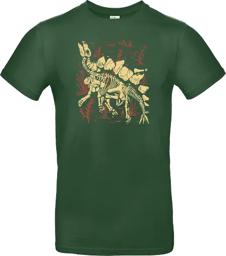 Stegosaurus Fossils