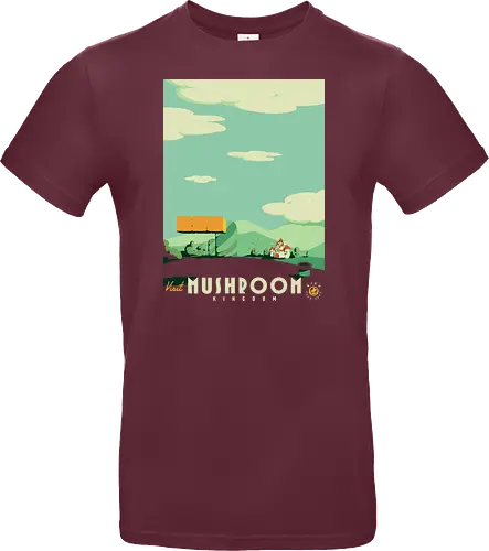 Visit Mushroom Kingdom
