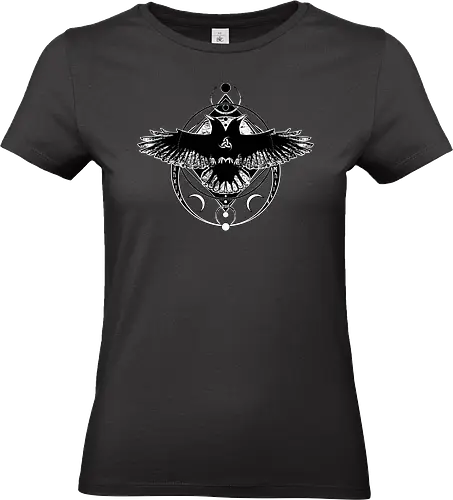 Huginn and Muninn