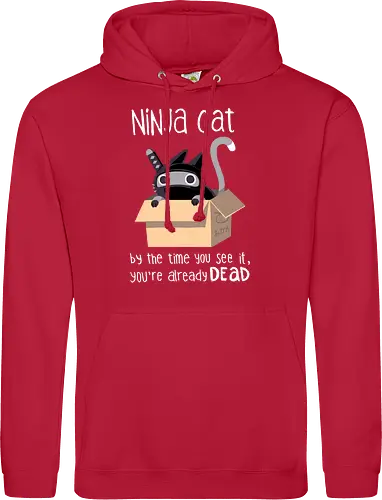 Ninja Cat