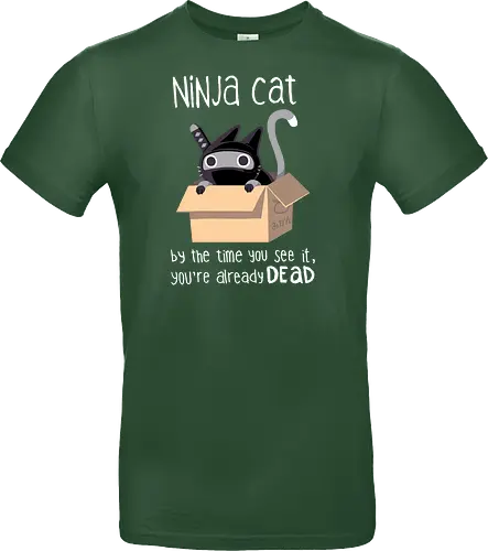 Ninja Cat