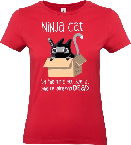 Ninja Cat