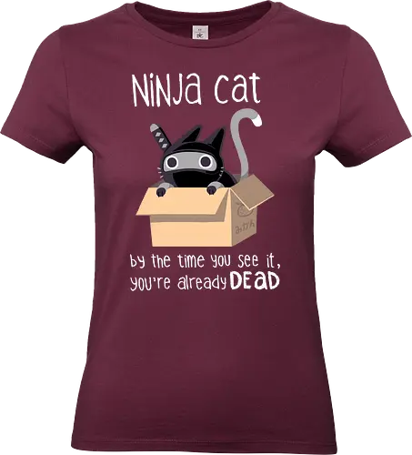 Ninja Cat