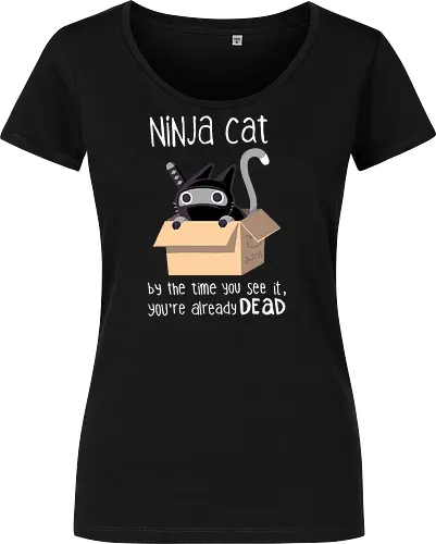 Ninja Cat