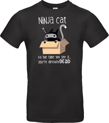 Ninja Cat