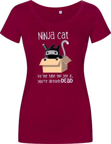 Ninja Cat