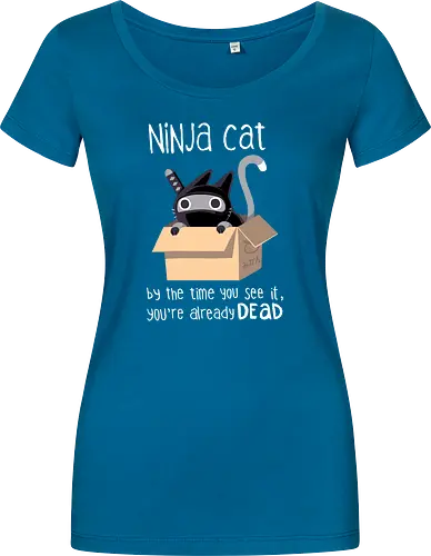 Ninja Cat