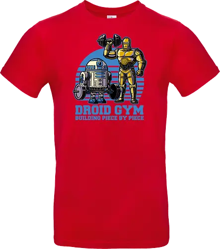 Droid Gym
