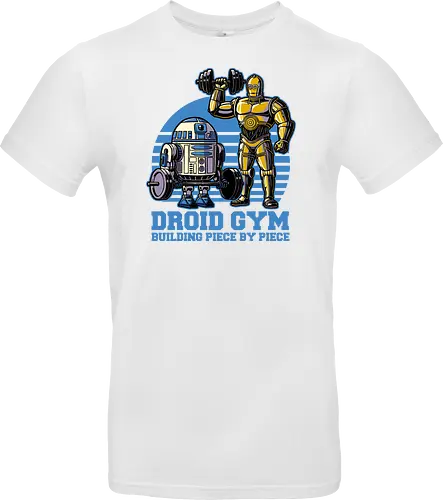 Droid Gym