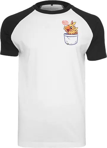 Bird in your Pocket
