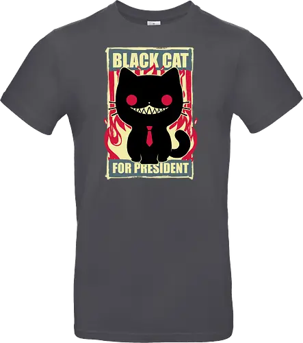 Black Cat for President