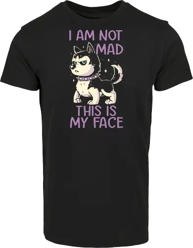 I Am Not Mad This Is My Face