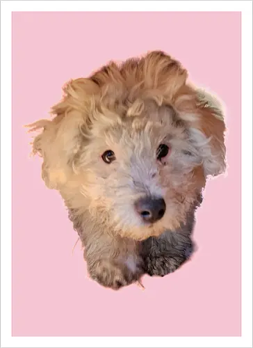 Aaaaaaw