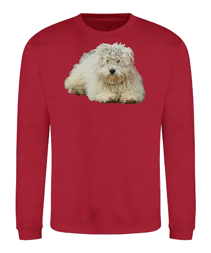 Mood - Sweatshirt