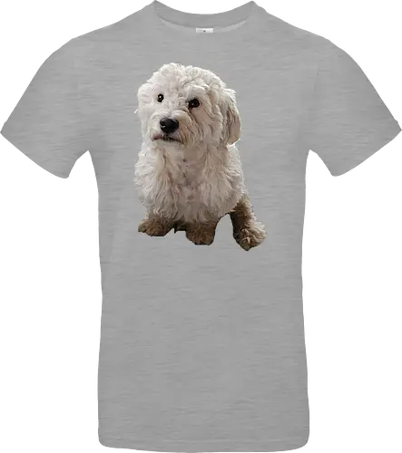 Gimme Gimme