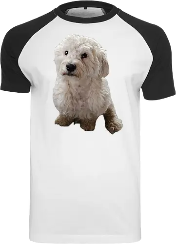 Gimme Gimme