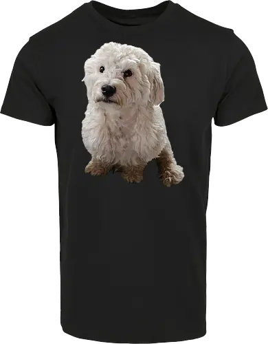 Gimme Gimme