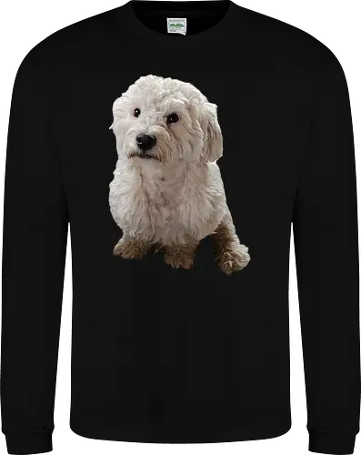 Gimme Gimme