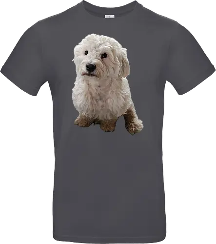 Gimme Gimme