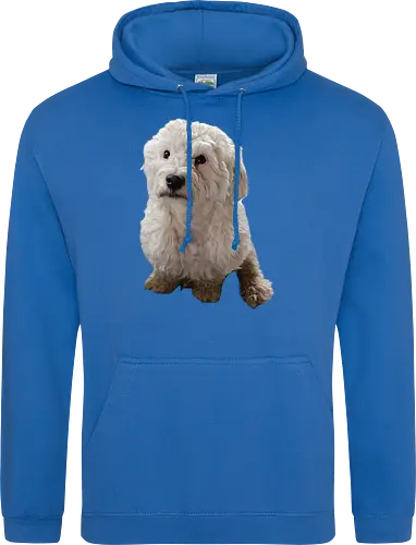 Gimme Gimme