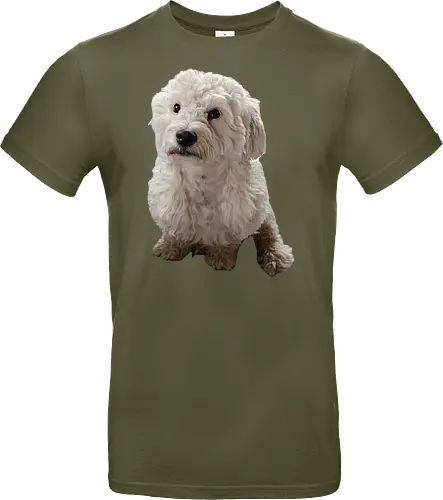 Gimme Gimme
