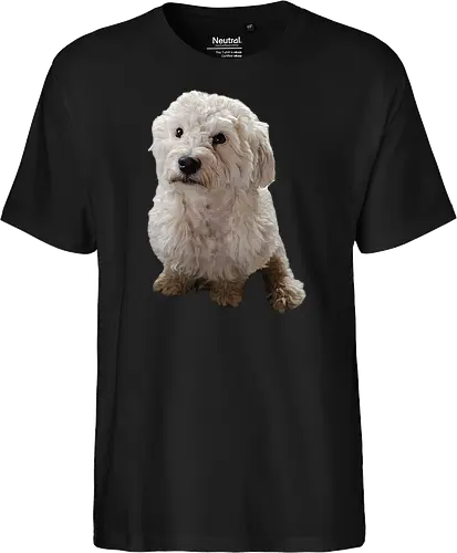 Gimme Gimme