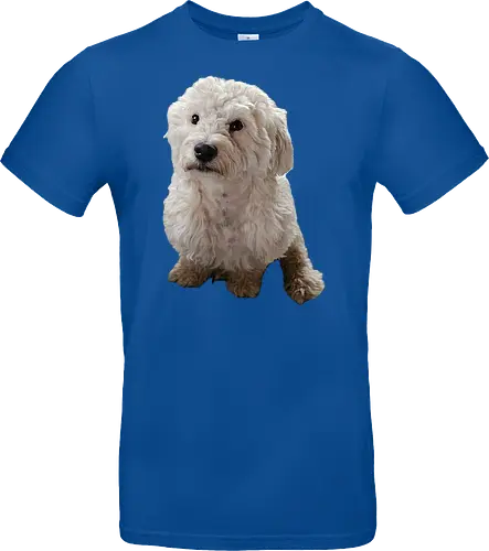 Gimme Gimme