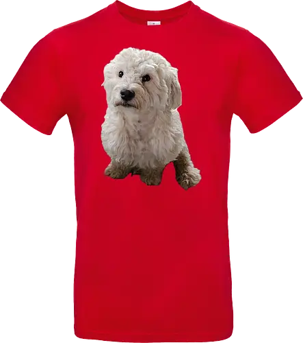 Gimme Gimme