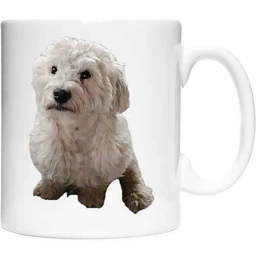 Gimme Gimme