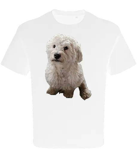 Gimme Gimme