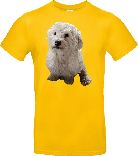 Gimme Gimme