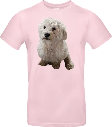 Gimme Gimme