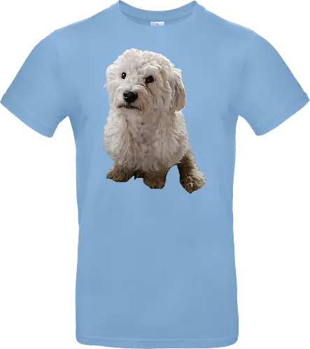 Gimme Gimme