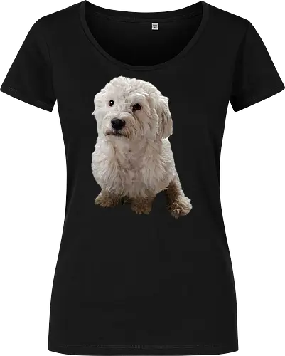 Gimme Gimme