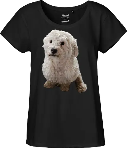 Gimme Gimme