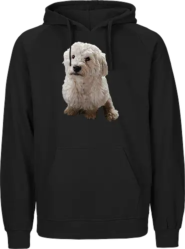 Gimme Gimme