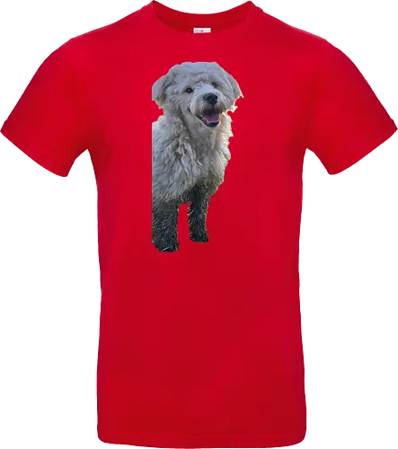 Hey