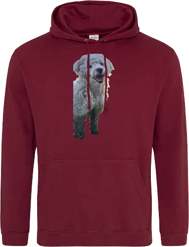 Hey