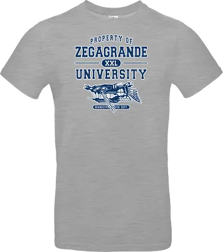 Zegagrande University