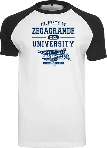 Zegagrande University