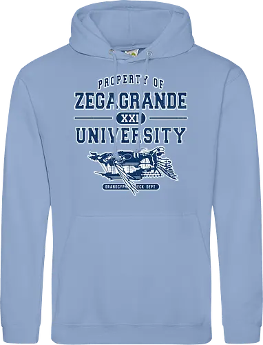 Zegagrande University