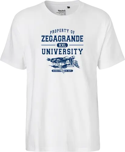 Zegagrande University