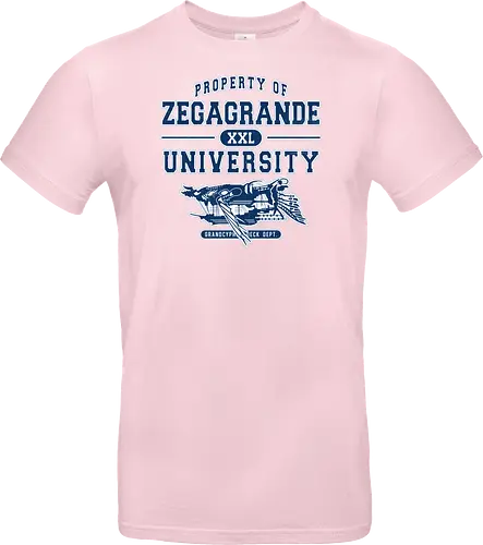 Zegagrande University