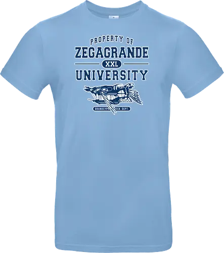Zegagrande University