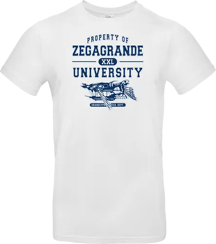 Zegagrande University