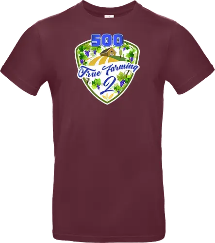 TF2 500 