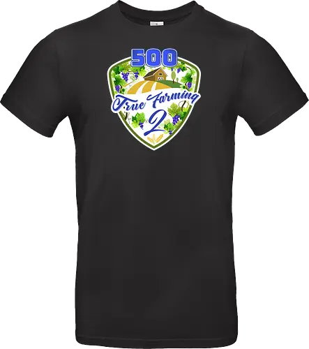 TF2 500 