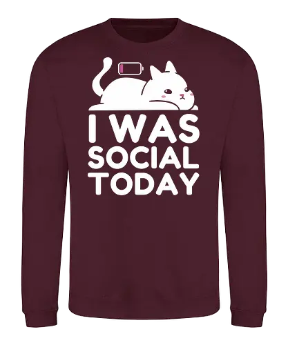 I Was Social Today - social, cat, funny, antisocial, humor, animal, battery, not today, nope. - Sweatshirt