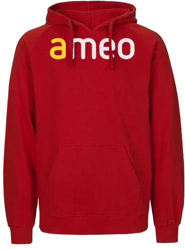 ameo Light - Fairtrade Hoodie