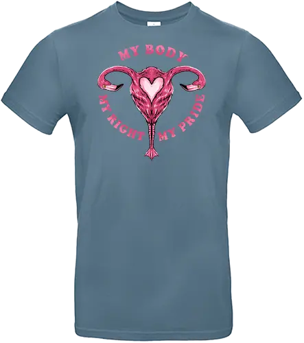 flamingo pride  - womanpower, rights, flamingo, bird, pink, beautiful, love - Standard T-Shirt